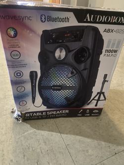 Speaker 