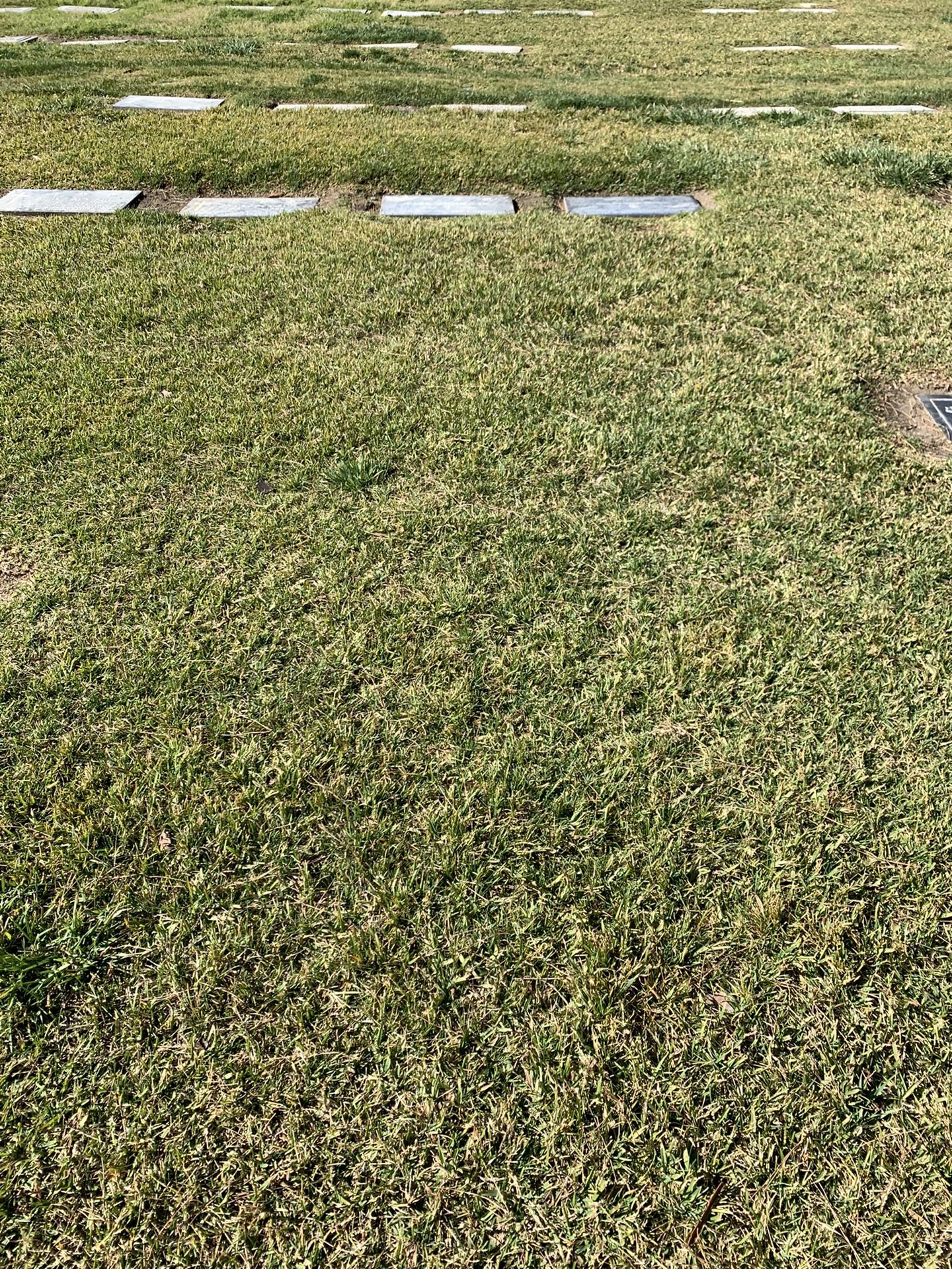 Cemetery plot for sale for Sale in Los Angeles, CA OfferUp