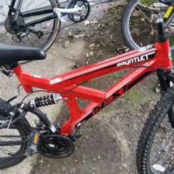 Boys Next Guantlet Bike . 