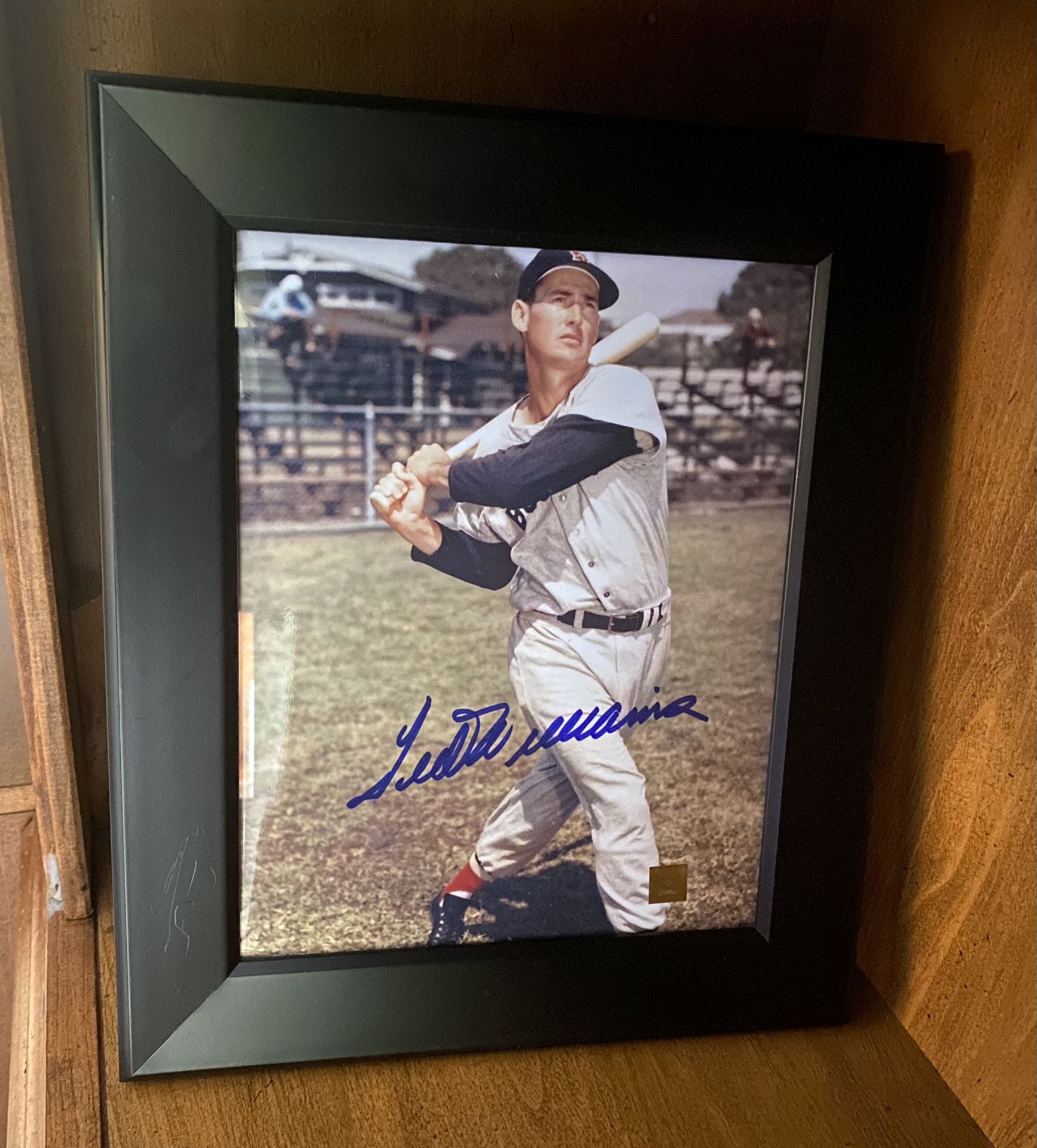 Ted Williams Authenticated Autographed 8x10