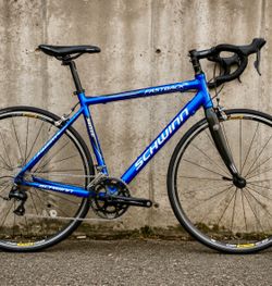 🔥 Schwinn Fastback Sport Road Bike • Carbon Fork • Mavic Wheels • Super Cle