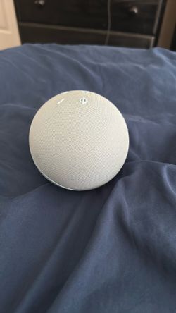 White speaker alexa