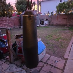 Punching Bag  100 Lbs