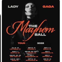 Lady Gaga VIP Lounge  Tickets In Miami Sep 1 Labor Day 