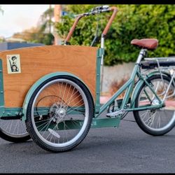 Electric Box Trike Bicycle/ School Bus