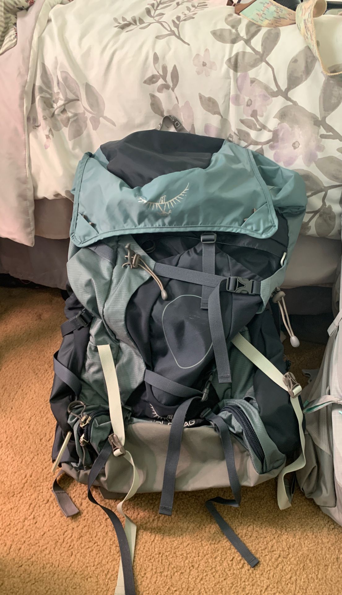 Osprey 65L backpack