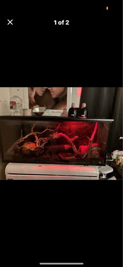 75 gallon tank withlid