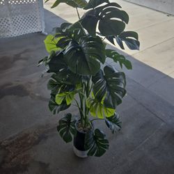 Fake plant 5feet Tall