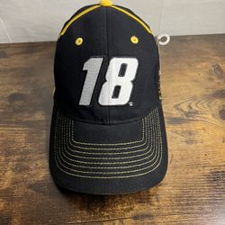 NASCAR M&M #18