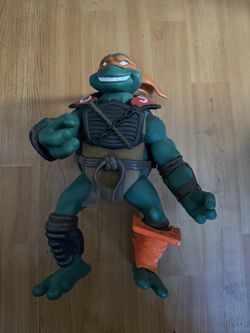 Teenage Mutant Ninja Turtles Michelangelo