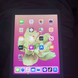 iPad 