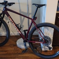 Specialized Epic Comp Hardtail 