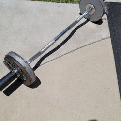 Olympic Curl Bar