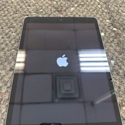 Apple Tablet 