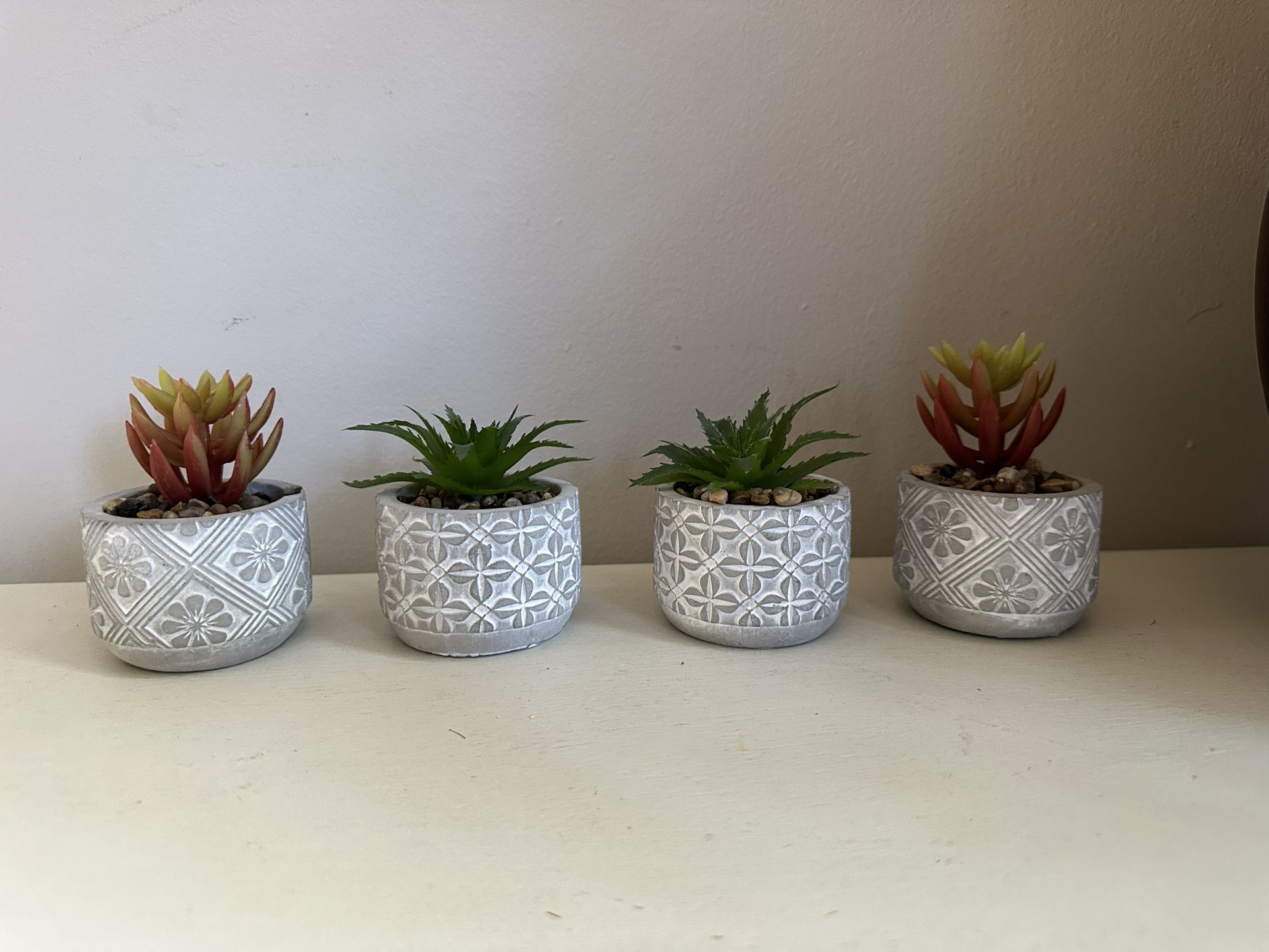 4 Succulents Plants With Cement Pots