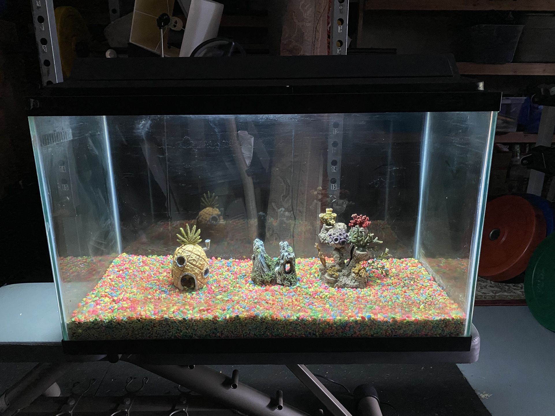 Complete 29-Gallon Aquarium Setup – Light, Heater, Filter, Decor Included! 🌊