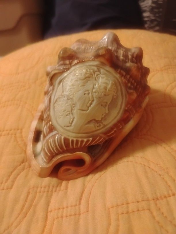 Cameo Hand Carved Conk Shell