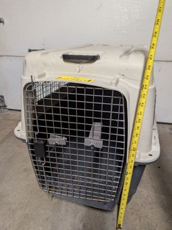Large Dog kennel