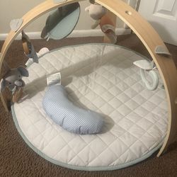 Baby Ingenuity 