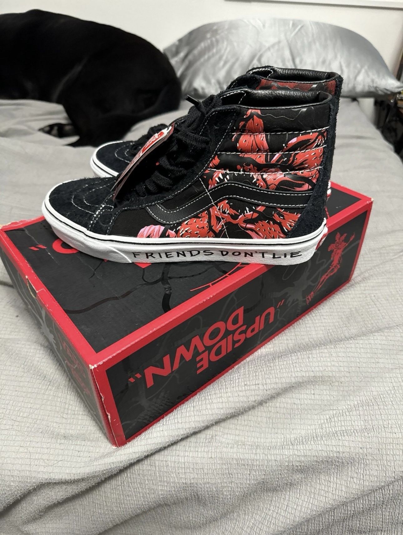 Stranger Things High Top Vans