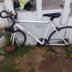 Vilano 21 speed bike