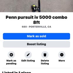Penn pursuit iv combo w/ 5000 series reel 8ft rod