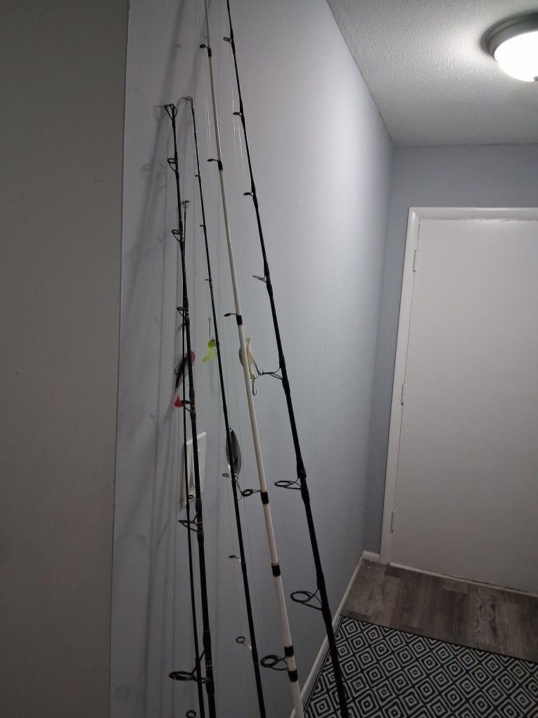 Fishing Rods 100$
