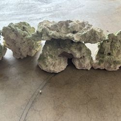 Saltwater Fish Tank Items