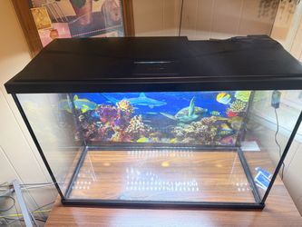 Top fin aquarium
