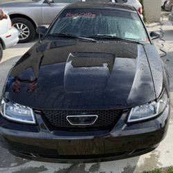 2000 Ford Mustang