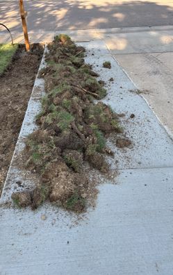 Fill Dirt free!!