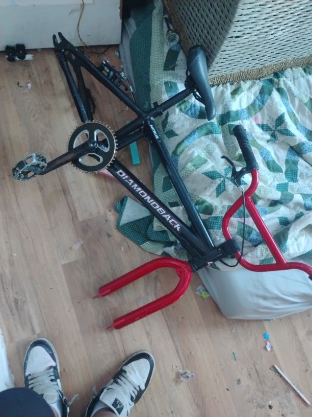 Diamondback Nitrus 20 Frame