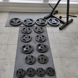 180 Ibs Weight Plate With Weight Tree 