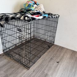 FREE LARGE KENNEL