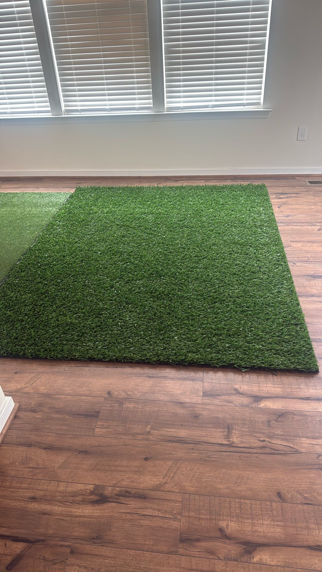 Grass Rug