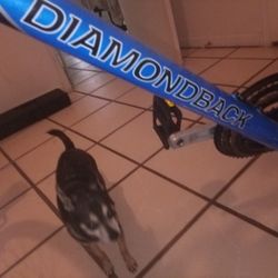 Diamond Back Mens Bike