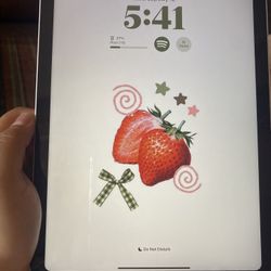 iPad 10th Generation Silver + Computer Case