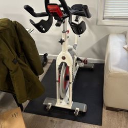 Schwinn Carbon blue With Echelon 2 Console