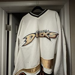 Anaheim Ducks  Signed Game Worn Jersey