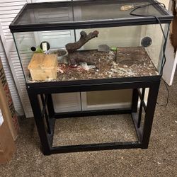Reptile Terrarium With Stand