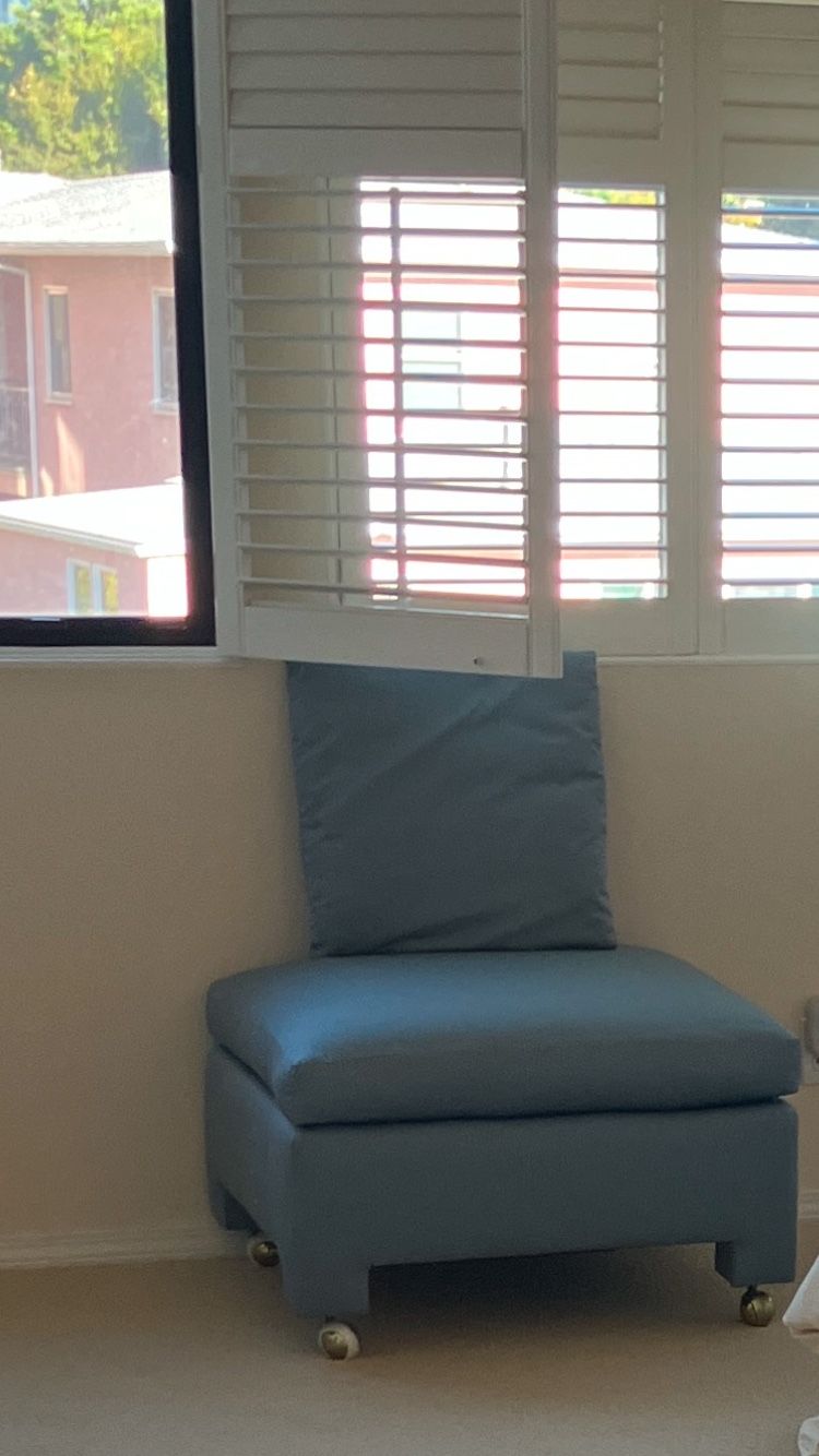 Ottoman  And Cushion