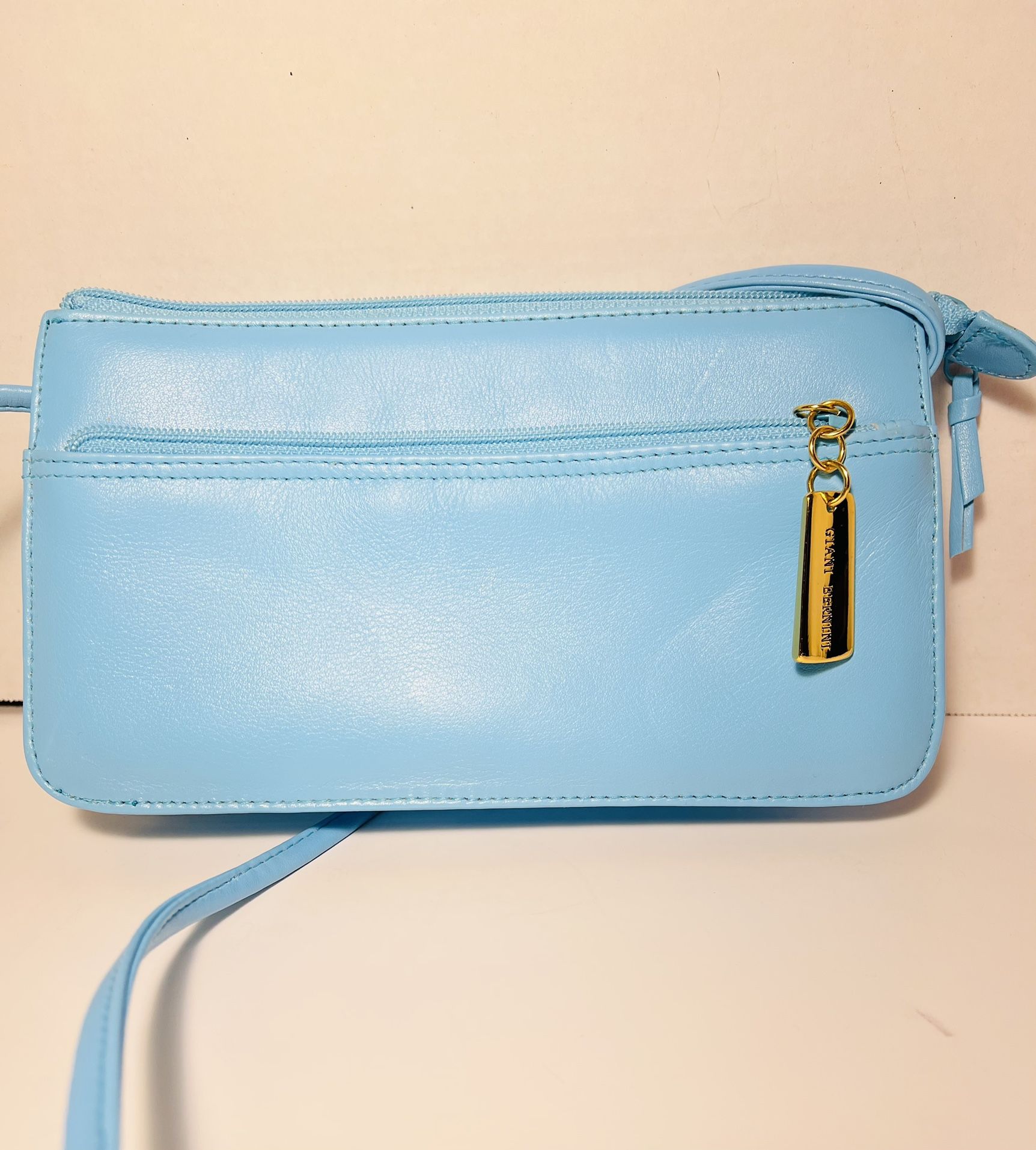 Beautiful baby blue Giani Bernini leather bag