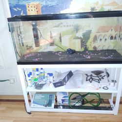 65 Gallon Fish tank With Stand