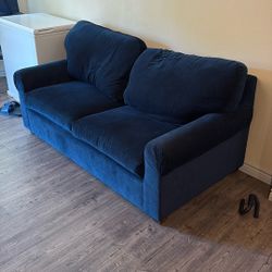 Couch With Queen Sized Pull Out Bed 
