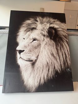 Lion canvas wall art