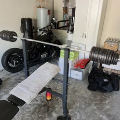 WORKOUT BENCH AND WEIGHTS (PLEASE READ)