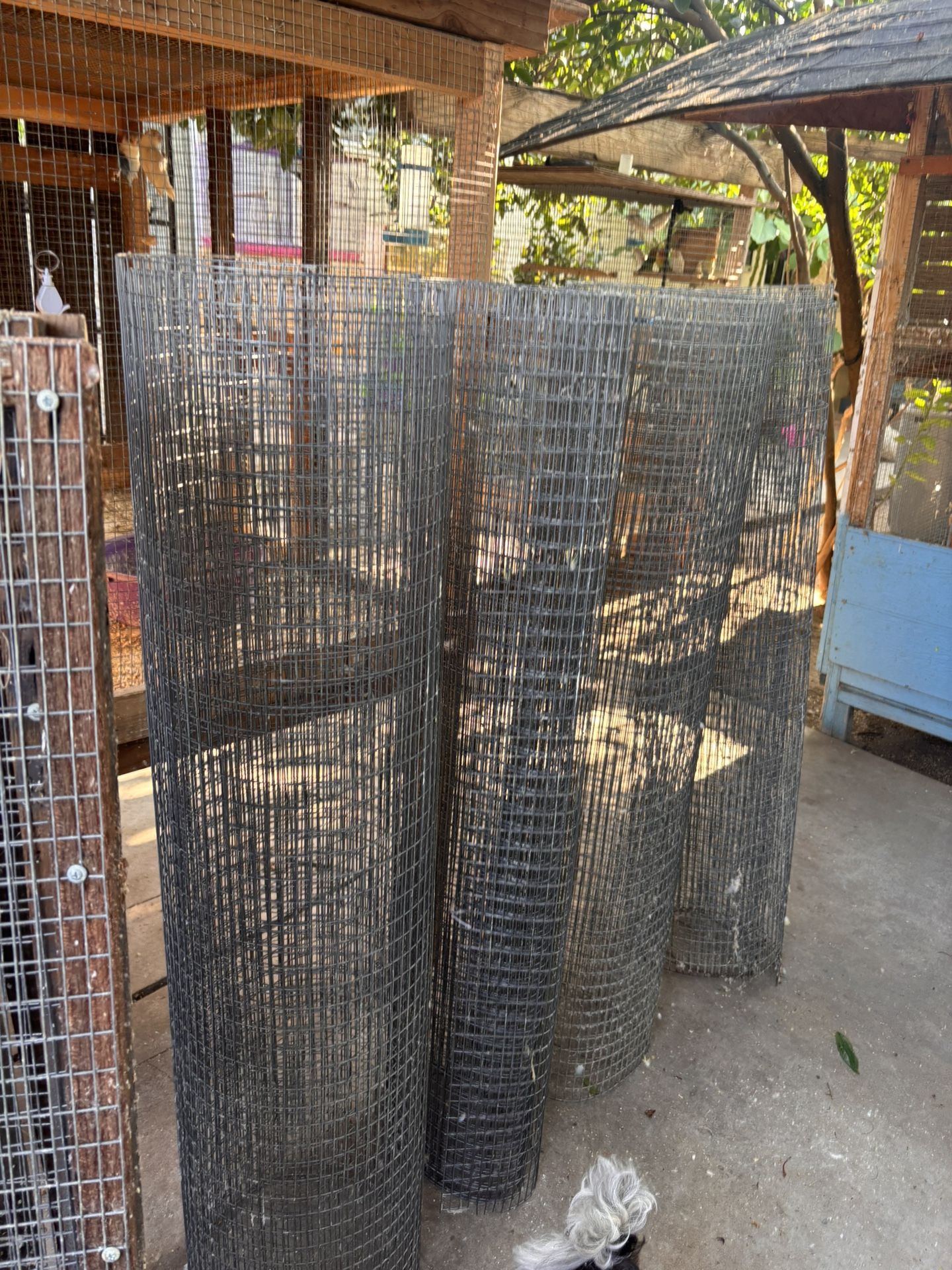 Wire Roll