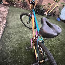 Hype Bike Co  (Snafu Bike) 250 Pound Max 