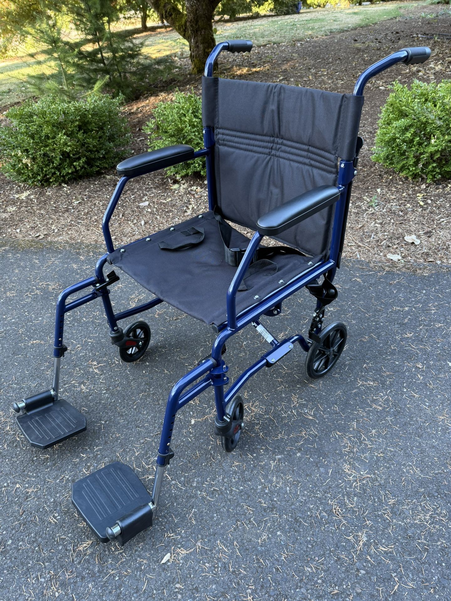 Transport Chair (Carex)