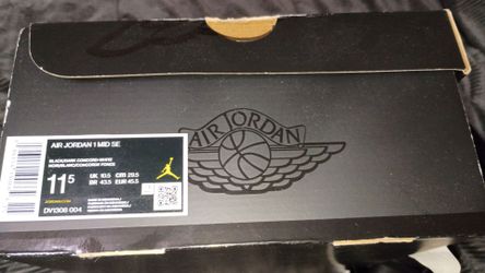 Air Jordan 1's SE